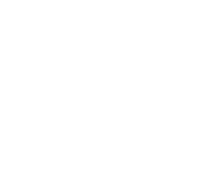 cpi veneto
